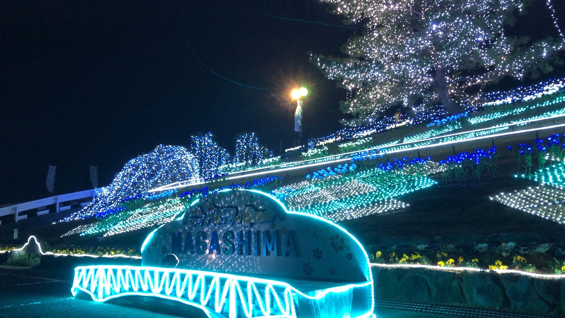 思い立って長島町 サンセットの丘 のイルミネーション Flowers Of Hikari を見に行った 鹿児島寄り道pic