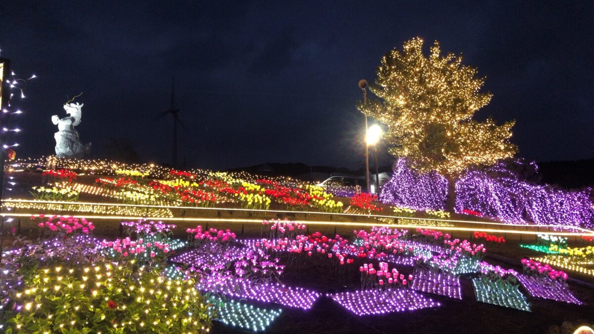 思い立って長島町 サンセットの丘 のイルミネーション Flowers Of Hikari を見に行った 鹿児島寄り道pic