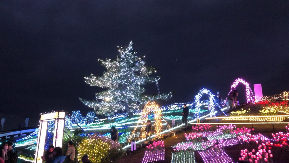 思い立って長島町 サンセットの丘 のイルミネーション Flowers Of Hikari を見に行った 鹿児島寄り道pic